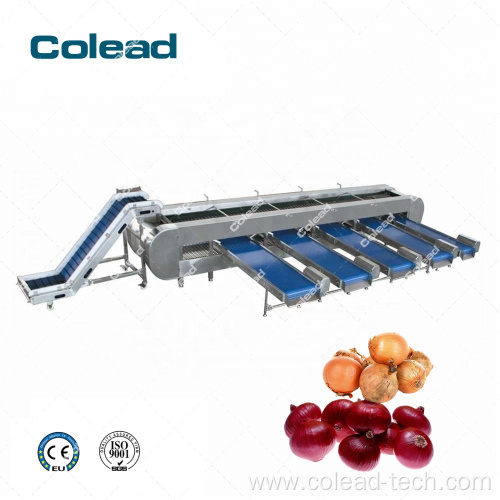 Automatic vegetable grading sorting machine